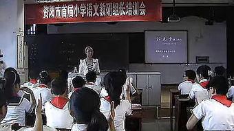 徐州小学爆料案件真相视频,还原事件始末 第1张 徐州小学爆料案件真相视频,还原事件始末 第1张