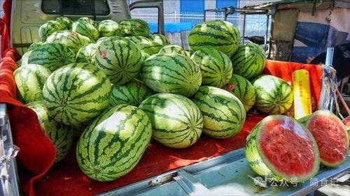 无锡网红吃瓜事件真相  第2张