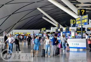 南宁机场爆料最新消息,航班调整与出行提示发布